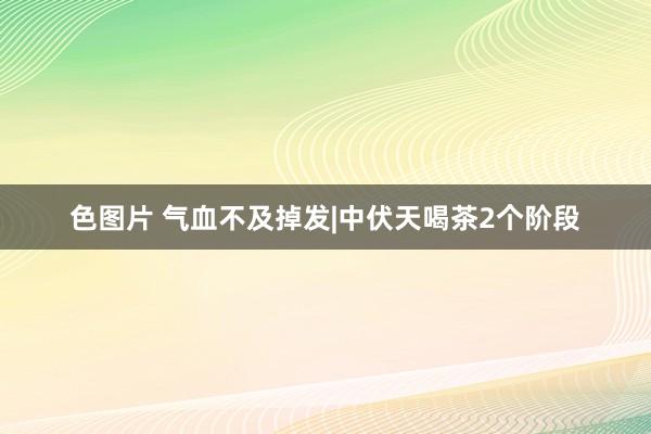 色图片 气血不及掉发|中伏天喝茶2个阶段