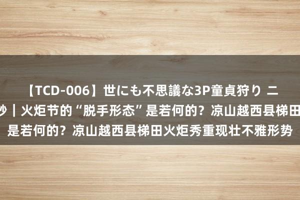 【TCD-006】世にも不思議な3P童貞狩り ニューハーフ×女×男 30秒｜火炬节的“脱手形态”是若何的？凉山越西县梯田火炬秀重现壮不雅形势