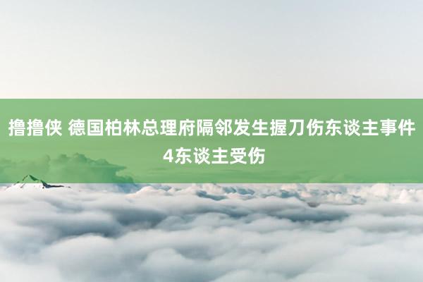 撸撸侠 德国柏林总理府隔邻发生握刀伤东谈主事件 4东谈主受伤