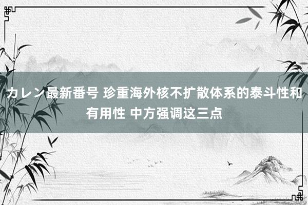 カレン最新番号 珍重海外核不扩散体系的泰斗性和有用性 中方强调这三点