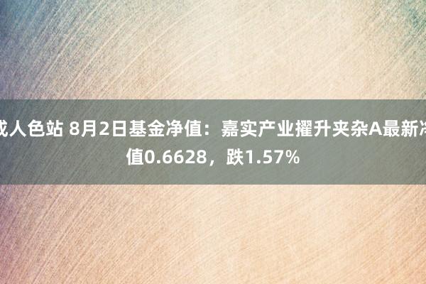 成人色站 8月2日基金净值：嘉实产业擢升夹杂A最新净值0.6628，跌1.57%