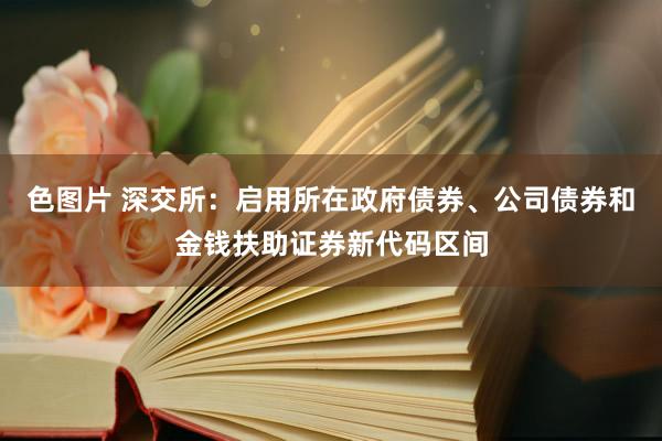 色图片 深交所：启用所在政府债券、公司债券和金钱扶助证券新代码区间