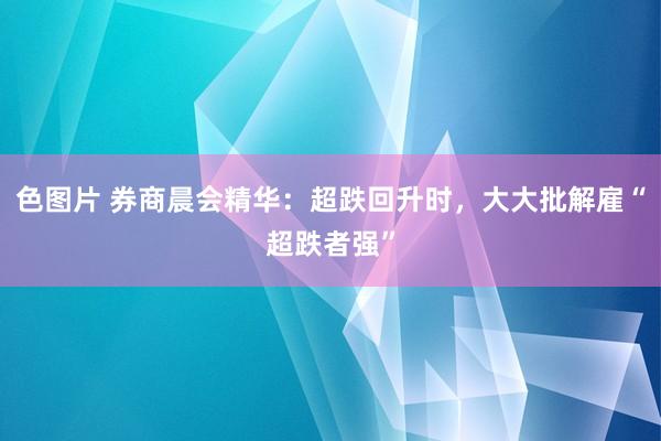 色图片 券商晨会精华：超跌回升时，大大批解雇“超跌者强”