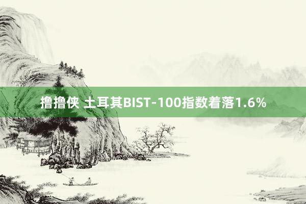 撸撸侠 土耳其BIST-100指数着落1.6%