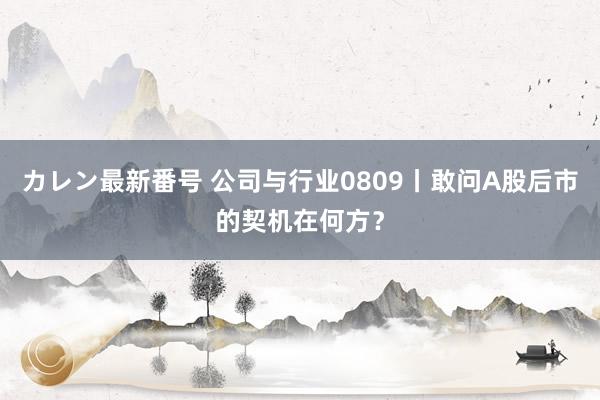 カレン最新番号 公司与行业0809丨敢问A股后市的契机在何方？