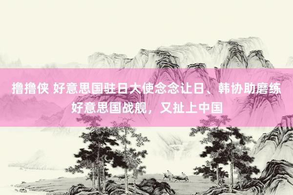 撸撸侠 好意思国驻日大使念念让日、韩协助磨练好意思国战舰，又扯上中国