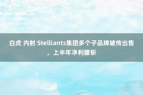 白虎 内射 Stelliants集团多个子品牌被传出售，上半年净利腰斩