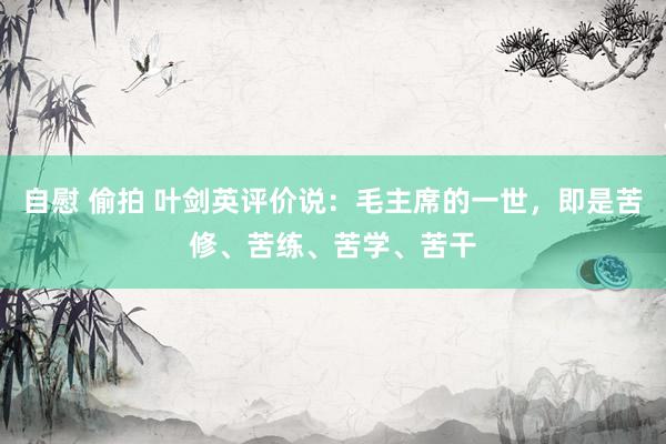 自慰 偷拍 叶剑英评价说：毛主席的一世，即是苦修、苦练、苦学、苦干