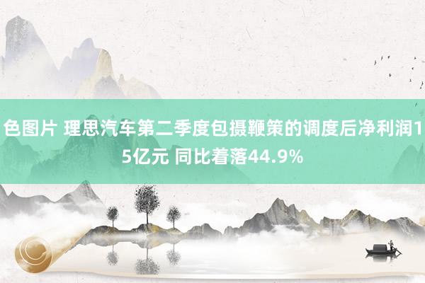 色图片 理思汽车第二季度包摄鞭策的调度后净利润15亿元 同比着落44.9%