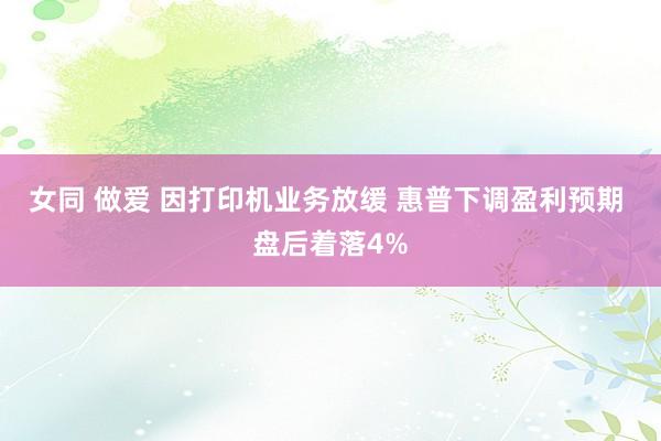 女同 做爱 因打印机业务放缓 惠普下调盈利预期 盘后着落4%