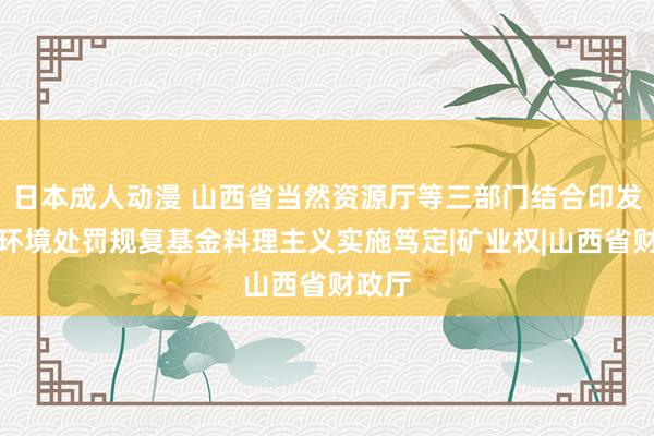 日本成人动漫 山西省当然资源厅等三部门结合印发矿山环境处罚规复基金料理主义实施笃定|矿业权|山西省财政厅