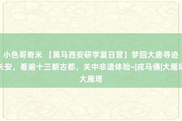 小色哥奇米 【黑马西安研学夏日营】梦回大唐寻迹长安，看遍十三朝古都，关中非遗体验~|戎马俑|大雁塔